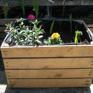 1 x PLANTER Vintage Rustic European Wooden Apple Crates,Wooden Garden Trough Planter Veg Bed Flower Plant Pots