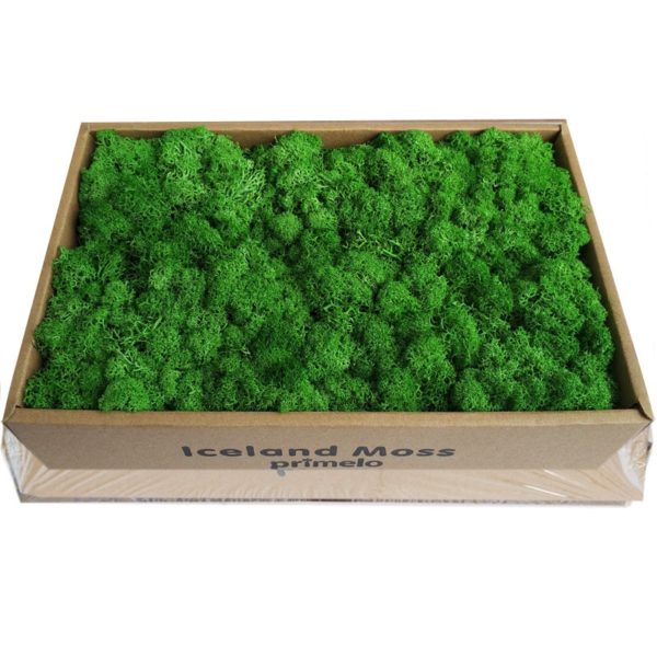 1000g simulation plants eternal life moss / Garden home decor wall DIY Flower material Mini Garden Micro Landscape fake moss