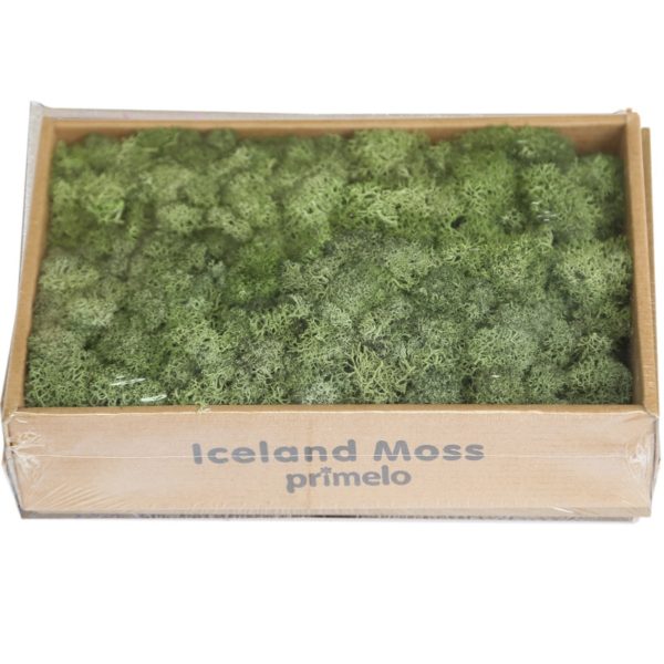 1000g simulation plants eternal life moss / Garden home decor wall DIY Flower material Mini Garden Micro Landscape fake moss